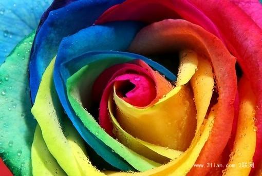 《有一種愛，總是漫在心裡最溫柔的地方》筱琳子