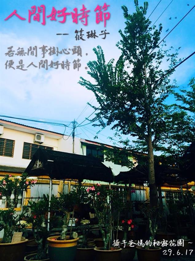 《人間好時節》筱琳子