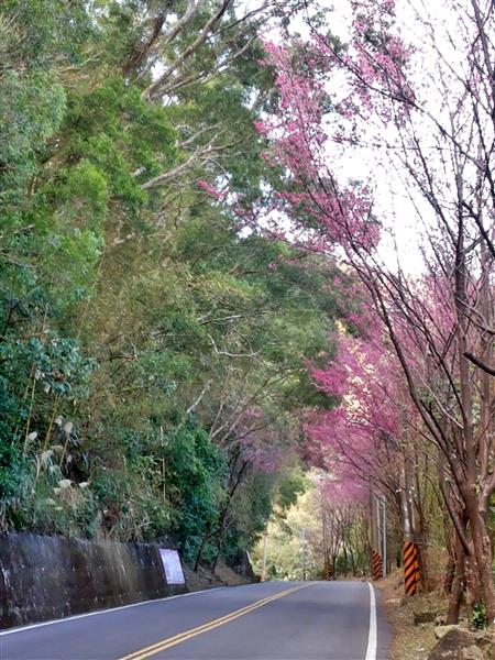 2015-02-01 16.24.05-1.jpg