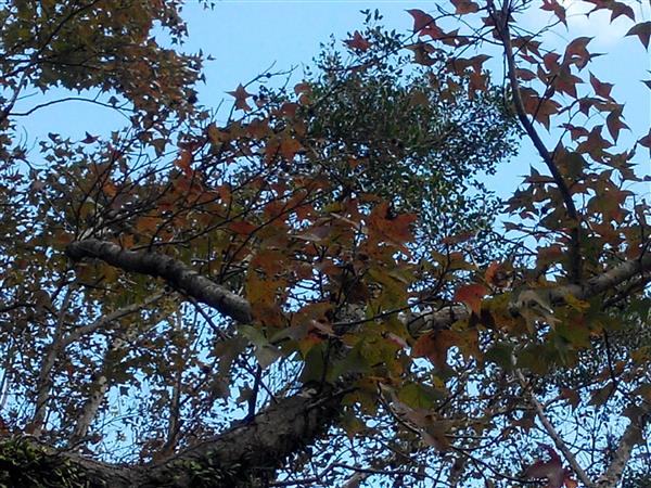 2014-12-07 14.50.17.jpg