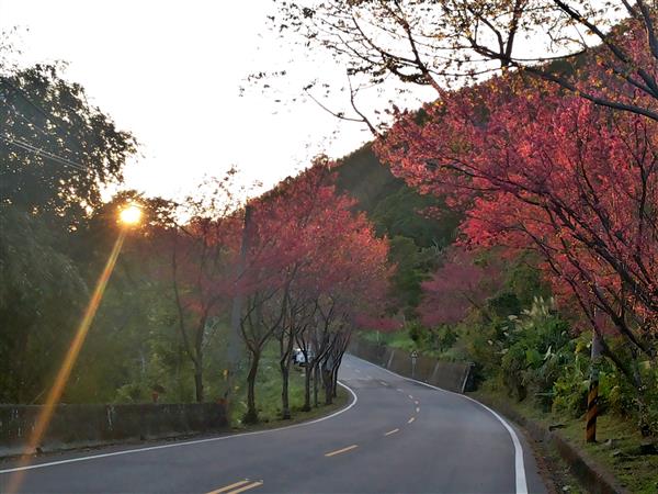 2015-02-01 17.19.38-1.jpg