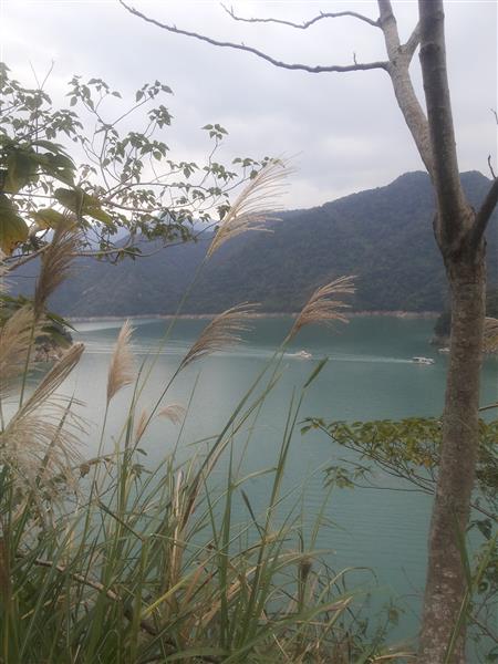 2014-12-07 16.26.01.jpg