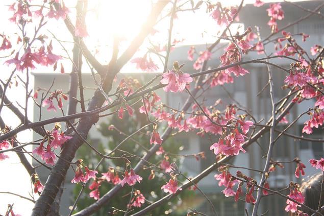 每一天都是回家的旅程