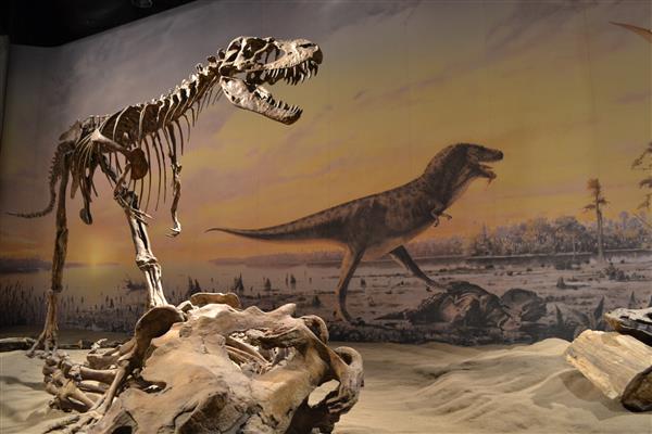 Drumheller Dinosaur14082754.jpg