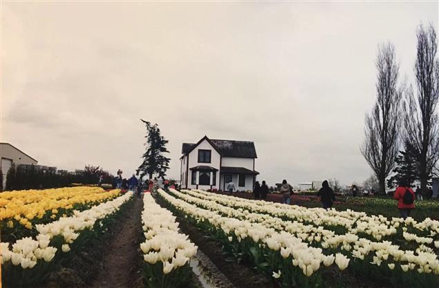 （簡史）從拓荒到多元──加拿大（英語）詩壇簡述