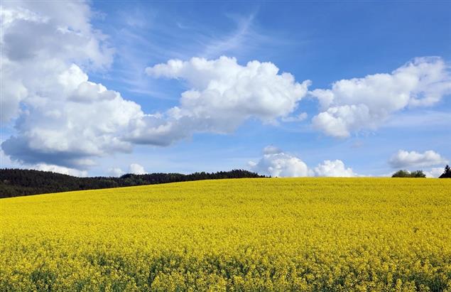 （詩）夏天的詩