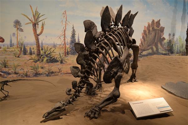 Drumheller Dinosaur14082745.jpg