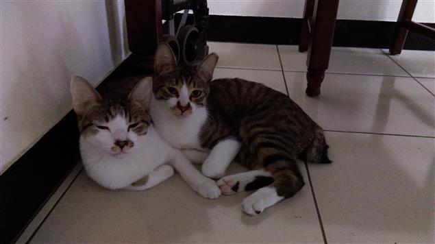 相逢未晚@陳慧文