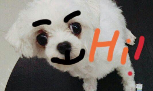 青衫之交◎陳慧文