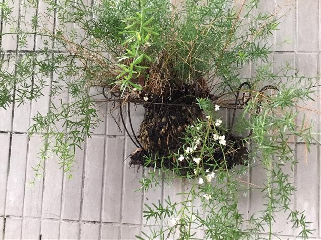 設問三疊◎陳慧文