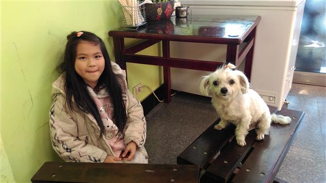 小狗妹妹做燈籠@陳慧文