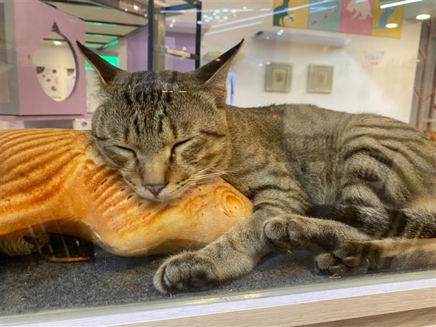 清理記憶體@陳慧文