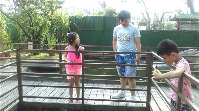 壽豐故事@陳慧文