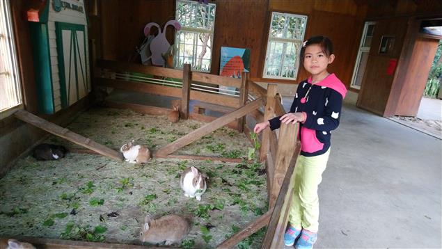 綠世界探奇@陳慧文