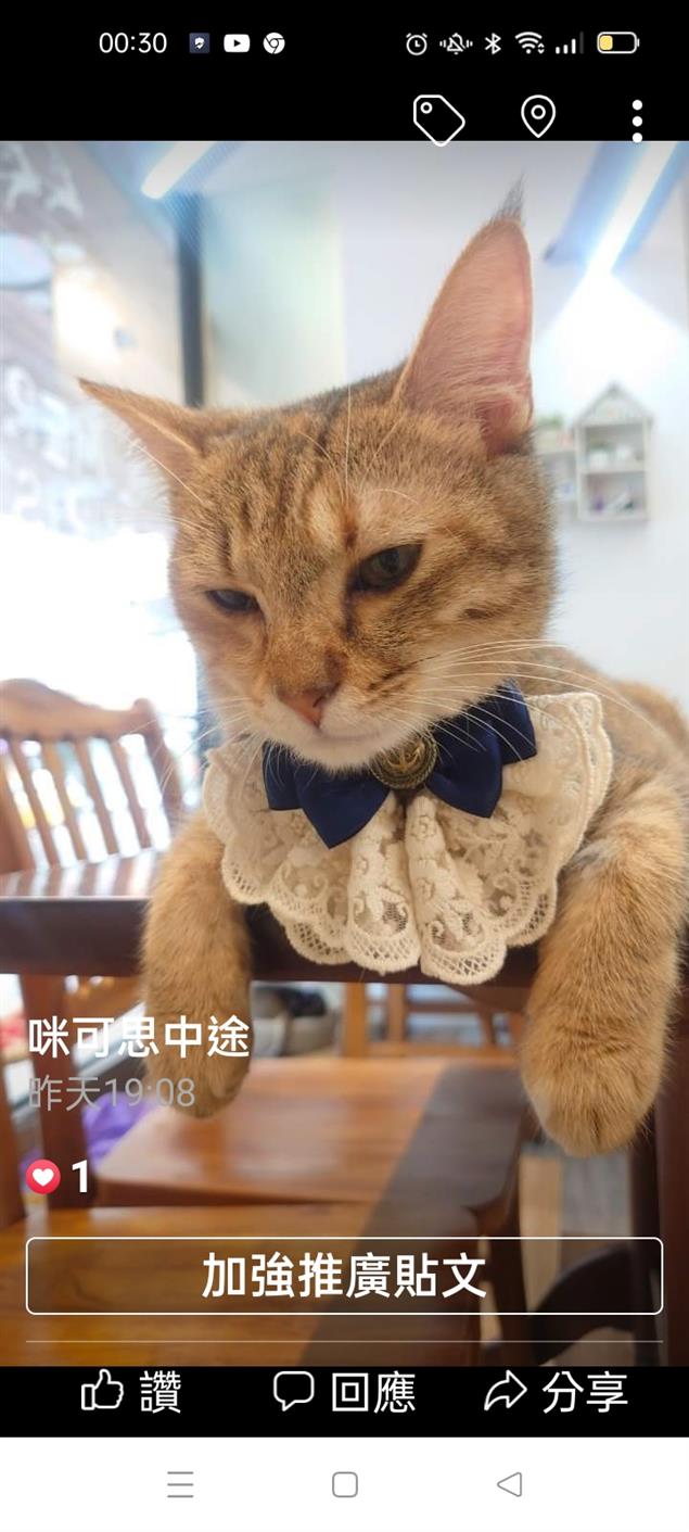 孩子你為什麼生氣@陳慧文