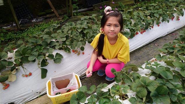 美哉！白石湖吊橋@陳慧文