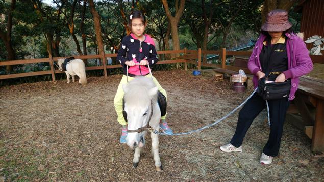 牧場風光@陳慧文