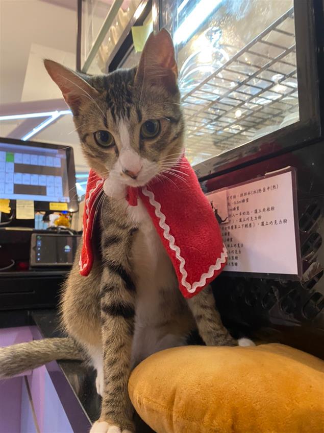 教師心語@陳慧文