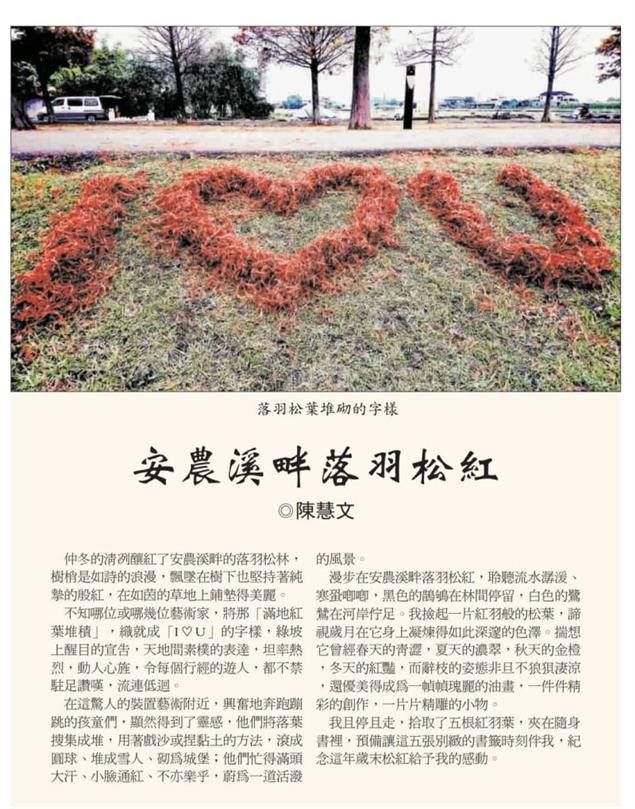 安農溪畔落羽松紅@陳慧文