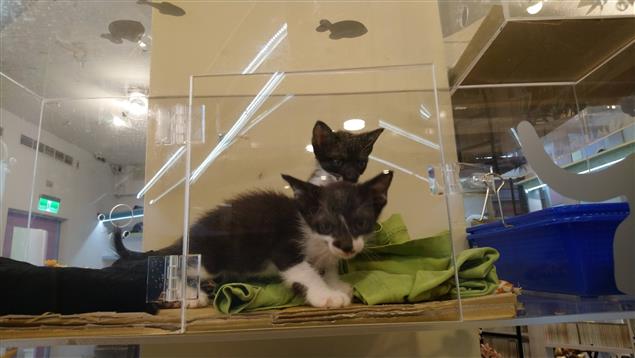 家有中二@陳慧文