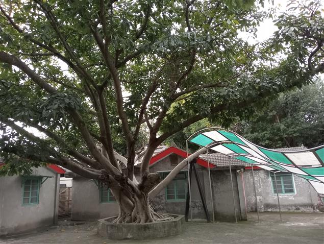 輕巧的行囊@陳慧文