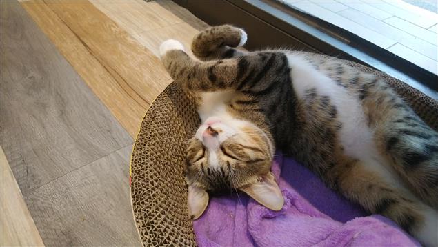 認真就輸了@陳慧文