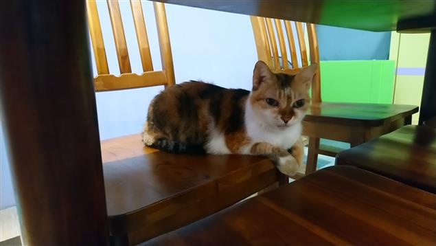 事情發生了就處理@陳慧文