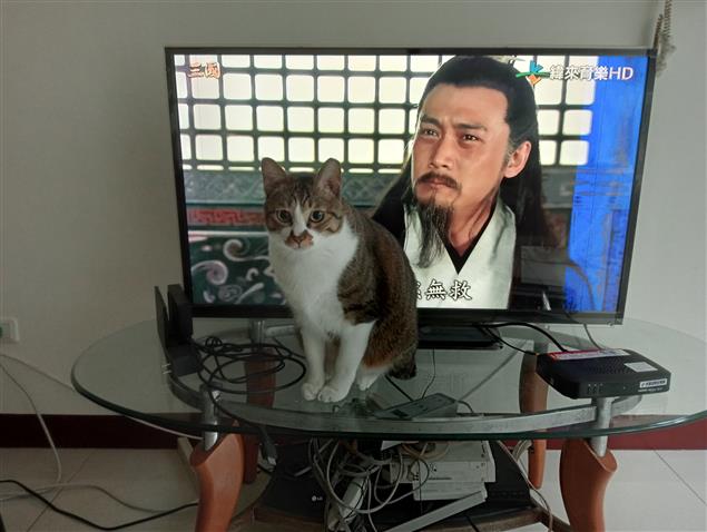 防疫新心情@陳慧文