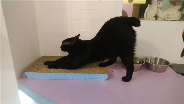 生活偶拾@陳慧文