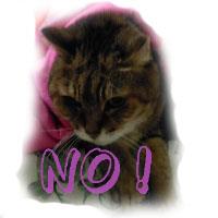 「非完全則寧無」的本意和誤用@陳慧文