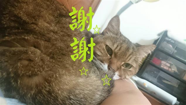 當家長干涉教學的時候