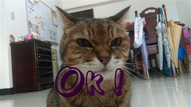 預約一個有尊嚴的退休生活@陳慧文