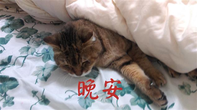 漫談烏托邦@陳慧文