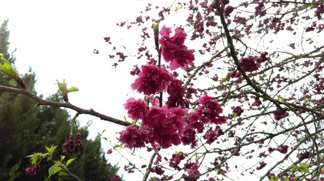 各退一步@陳慧文