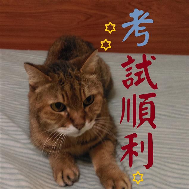 國文應考三顆心──給國中生的一封信@陳慧文