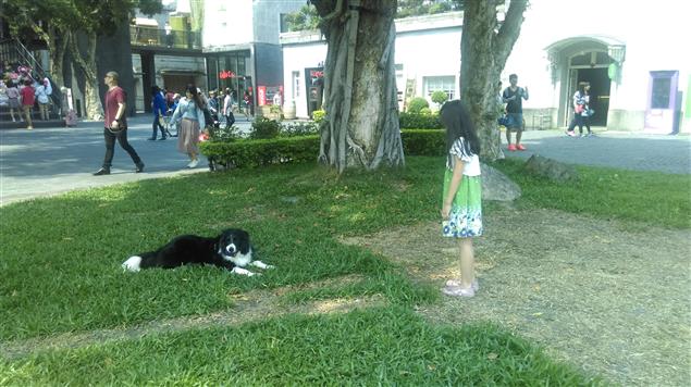 另類的媽媽@陳慧文