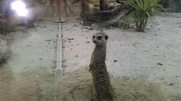 勿為小事抓狂@陳慧文