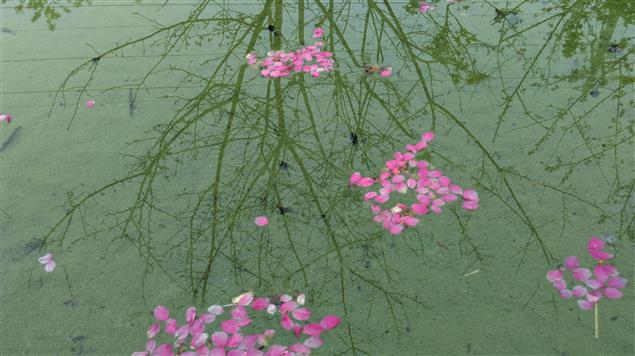 關於家庭婚姻的立法院會議@陳慧文