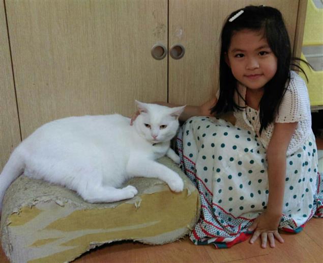 黃昏之戀──梁實秋《白貓王子》@陳慧文