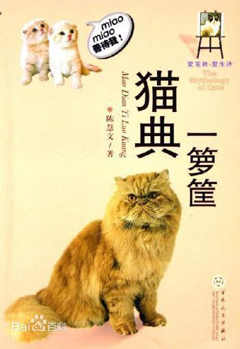 頂級工作貓──英國短毛貓(British Shorthair)@陳慧文