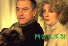 銀幕巨星──喜馬拉雅貓(Himalayan)@陳慧文