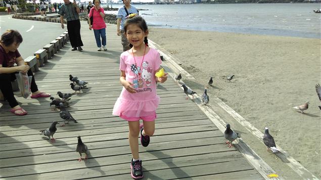 淡江中學的鴿子@陳慧文