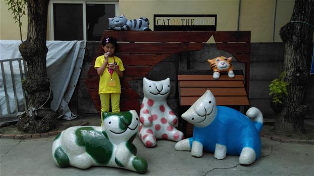 民国“铲屎官”们的故事 (受訪節錄)@陳慧文