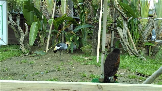 成長的苦澀@陳慧文