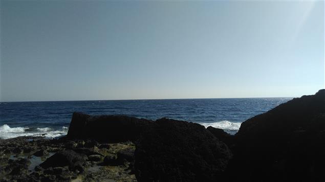 奶奶的藤椅                     陳慧文