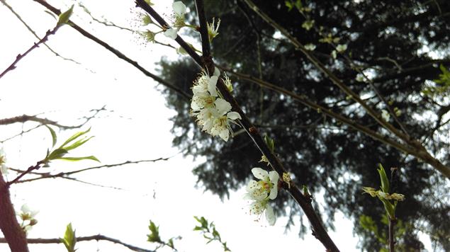 我沒有憂過妳的憂@陳慧文