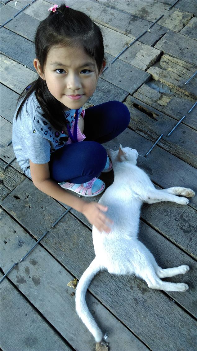 民國初年的愛貓文人@陳慧文