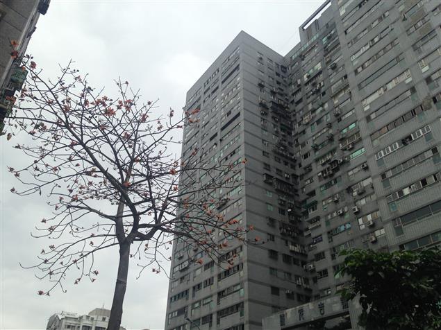 愚人節【詩歌】