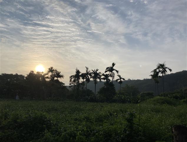 女曰雞鳴【詩歌】