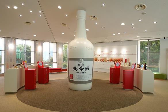 日本。長野、吃中藥長大的豬